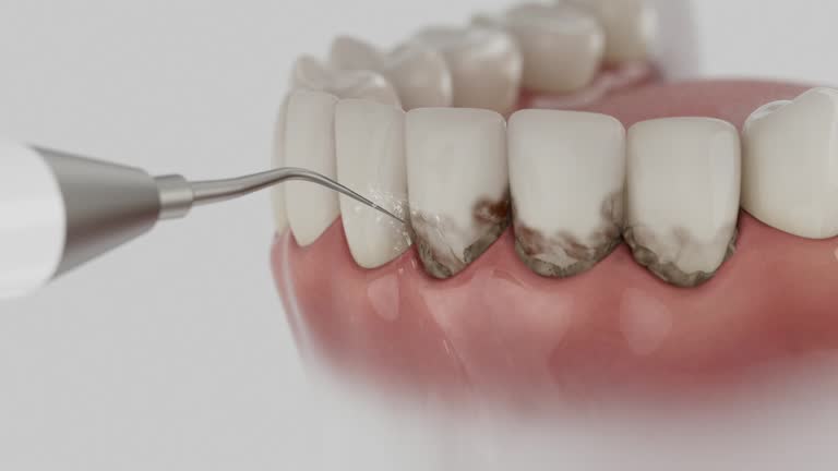 Reliable Dental contractor in Cheverly, MD by Dentist Open Now